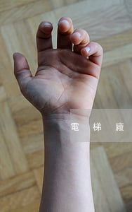 電梯廠家維保