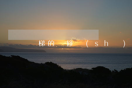 電梯的維修書(shū)