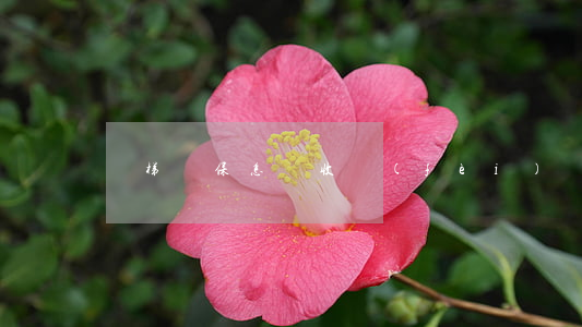 電梯維保怎樣收費(fèi)