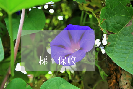 電梯維保收費標準