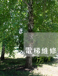 電梯維修記錄