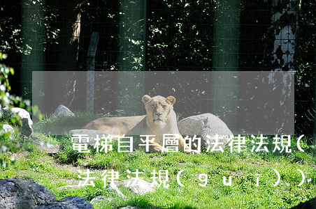 電梯自平層的法律法規(guī)(電梯的法律法規(guī))