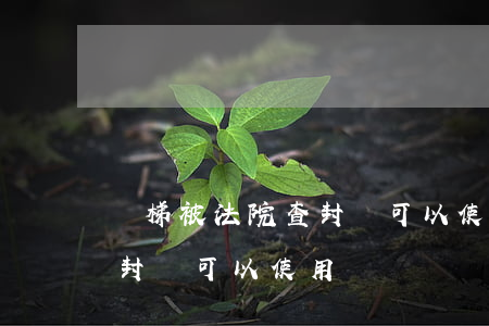 電梯被法院查封還可以使用嗎(電梯被法院查封還可以使用嗎)