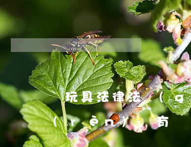 電玩具法律法規(guī)(與兒童玩具認(rèn)證有關(guān)的法律法規(guī)有哪些)