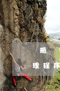 電瓶車交通事故責(zé)任追究制度與處理程序