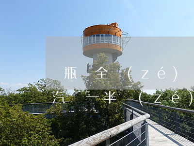 電瓶車全責(zé)賠償金額很大(電瓶車和汽車一半責(zé)任怎么賠)