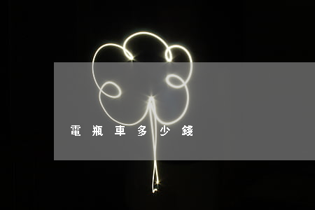 電瓶車多少錢