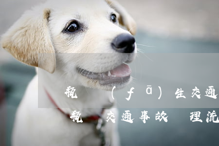 電瓶車發(fā)生交通事故交警如何處理(電瓶車交通事故處理流程)