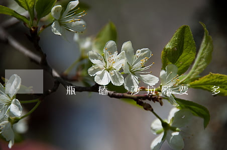 電瓶車磕瑪莎拉蒂要賠多少