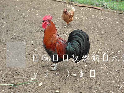電瓶車貸款逾期兩天(車貸逾期2天后果嚴(yán)重嗎)