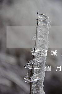 電腦城上班多少錢一個月(電腦城上班多少錢一個月)