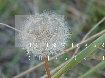 電視劇播映權(quán)轉(zhuǎn)讓協(xié)議