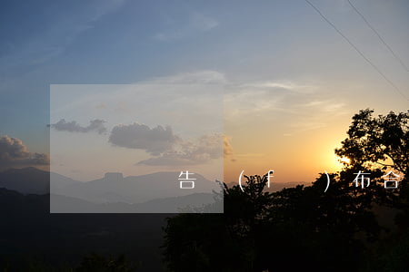 電視廣告發(fā)布合同