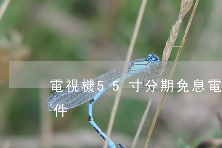 電視機55寸分期免息(電視分期需要什么條件)