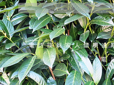 電話接到家人借唄逾期了問(wèn)了沒(méi)有-電話接到家人借唄逾期了問(wèn)了沒(méi)有欠款