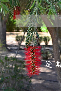 電話號碼逾期交費為什么有違約金-電話號碼逾期交費為什么有違約金呢