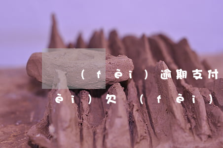 電費(fèi)逾期支付寶(支付寶電費(fèi)欠費(fèi))