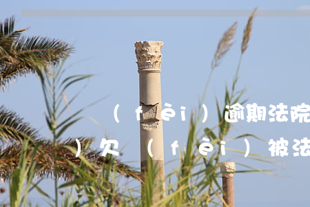 電費(fèi)逾期法院起訴(電費(fèi)欠費(fèi)被法院)