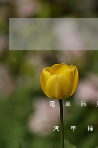 電車無意撞人導(dǎo)致擦傷賠多少錢(汽車撞到電動(dòng)車,人輕微受傷,怎么賠償)