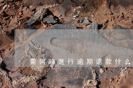 需何時進行逾期還款(什么情況屬于逾期還款)