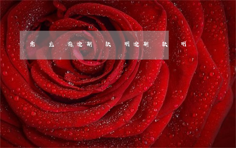 需補充當前逾期還款證明(逾期還款說明)
