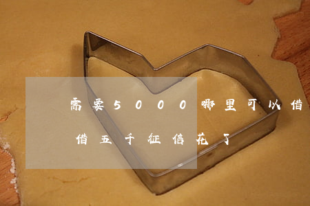 需要5000哪里可以借征信逾期-哪里可借五千征信花了