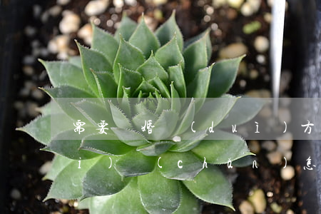 需要離婚對(duì)方不肯分割財(cái)產(chǎn)怎么辦