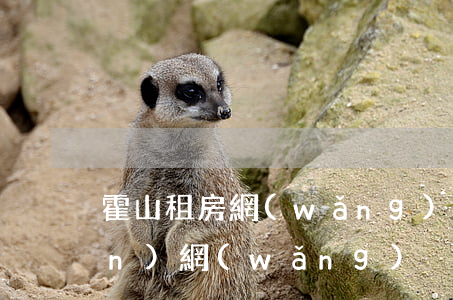 霍山租房網(wǎng)(霍山房產(chǎn)網(wǎng))