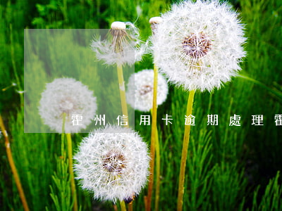 霍州信用卡逾期處理(霍州信用卡逾期處理)