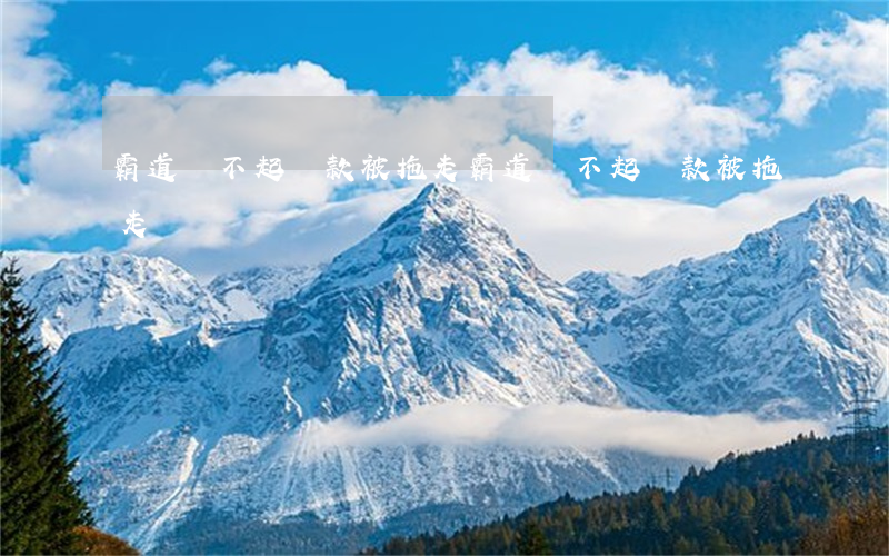 霸道還不起貸款被拖走(霸道還不起貸款被拖走)