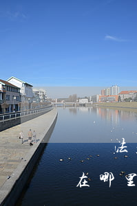 靈寶法律援助中心在哪里(靈寶法律援助中心在哪里)