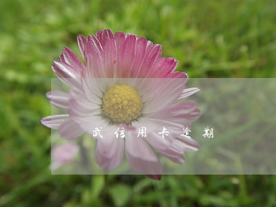 靈武信用卡逾期