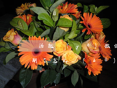 靈活就業(yè)微信申請(qǐng)逾期了怎么補(bǔ)辦-靈活就業(yè)微信申請(qǐng)逾期了怎么補(bǔ)辦呢
