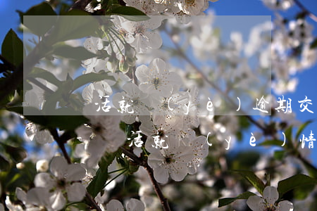 靈活就業(yè)逾期交表情況說明怎么寫-靈活就業(yè)情況報(bào)告逾期七天
