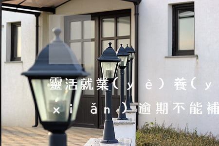 靈活就業(yè)養(yǎng)老保險(xiǎn)逾期不能補(bǔ)繳-靈活就業(yè)養(yǎng)老保險(xiǎn)逾期不能補(bǔ)繳,是不是就作廢了