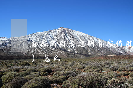 青客信用卡逾期(青客信用卡逾期會(huì)怎么樣)