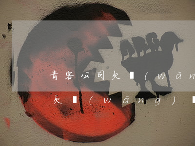 青客公司欠網(wǎng)貸不還(青客公司欠網(wǎng)貸不還)