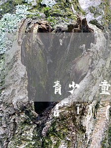 青少兒童相關(guān)的法律法規(guī)(少年兒童法律法規(guī)有哪些)