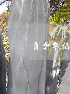 青少年信用卡逾期(精神病信用卡逾期)