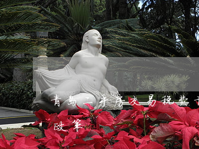 青岛二手房交易税费(青岛二手房交易税费新政策)