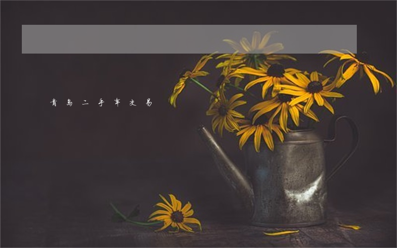 青岛二手车交易