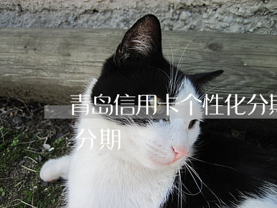 青岛信用卡个性化分期-青岛信用卡个性化分期