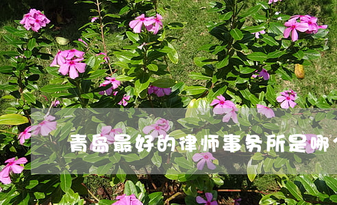 青岛最好的律师事务所是哪个
