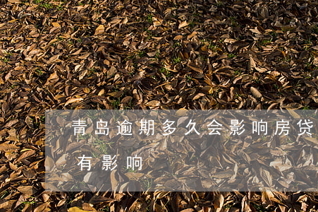 青岛逾期多久会影响房贷(房贷逾期半天有没有影响)