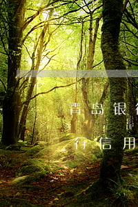 青岛银行信用卡逾期一天上征信吗-青岛银行信用卡逾期一天上征信吗有影响吗
