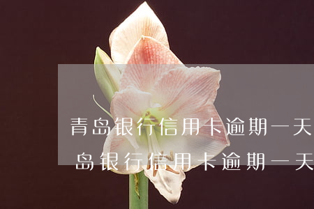 青岛银行信用卡逾期一天会有不良记录-青岛银行信用卡逾期一天会有不良记录吗