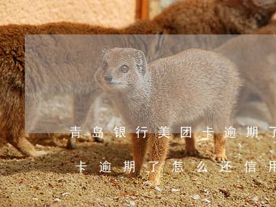 青岛银行美团卡逾期了怎么还(青岛银行美团卡逾期了怎么还信用卡)