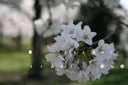 青島亞聯(lián)財貸款逾期率(亞聯(lián)財貸款公司)