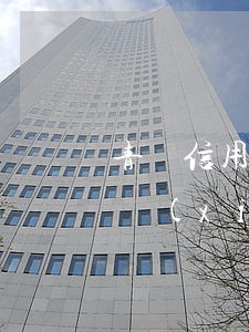 青島信用卡逾期4年-四年前信用卡逾期過現(xiàn)在能不能貸房貸