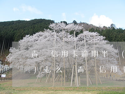 青島信用卡逾期半個(gè)月會(huì)怎么樣(青島信用卡可以逾期幾天)